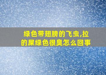 绿色带翅膀的飞虫,拉的屎绿色很臭怎么回事