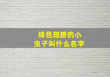 绿色翅膀的小虫子叫什么名字