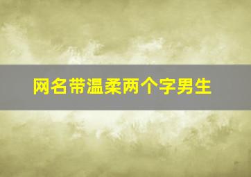 网名带温柔两个字男生