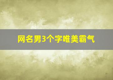 网名男3个字唯美霸气