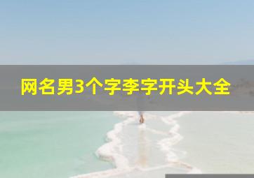 网名男3个字李字开头大全