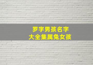 罗字男孩名字大全集属兔女孩