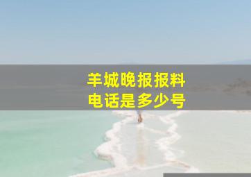 羊城晚报报料电话是多少号