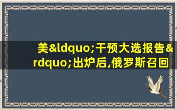 美“干预大选报告”出炉后,俄罗斯召回驻美大使