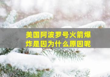 美国阿波罗号火箭爆炸是因为什么原因呢