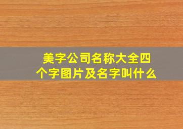 美字公司名称大全四个字图片及名字叫什么