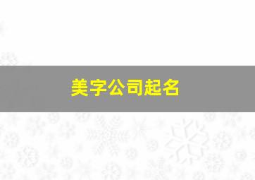 美字公司起名