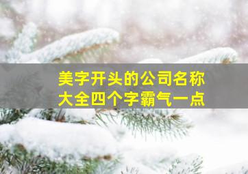 美字开头的公司名称大全四个字霸气一点