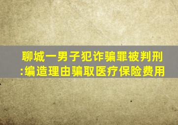 聊城一男子犯诈骗罪被判刑:编造理由骗取医疗保险费用