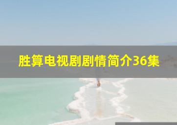 胜算电视剧剧情简介36集