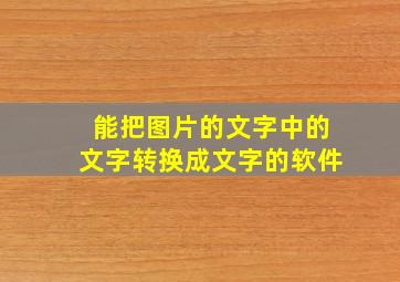 能把图片的文字中的文字转换成文字的软件