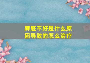 脾脏不好是什么原因导致的怎么治疗