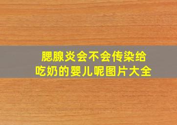 腮腺炎会不会传染给吃奶的婴儿呢图片大全