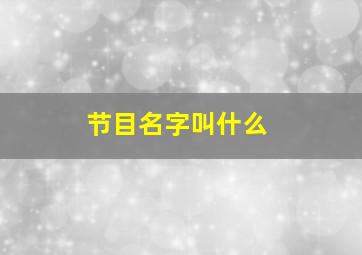 节目名字叫什么