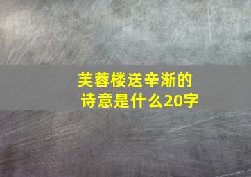 芙蓉楼送辛渐的诗意是什么20字