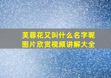 芙蓉花又叫什么名字呢图片欣赏视频讲解大全