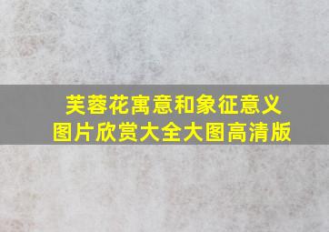 芙蓉花寓意和象征意义图片欣赏大全大图高清版