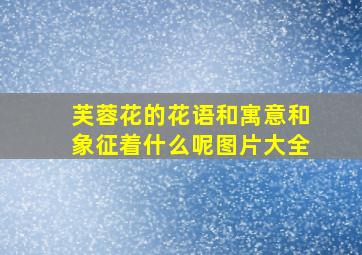 芙蓉花的花语和寓意和象征着什么呢图片大全