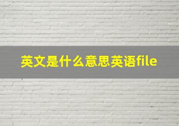 英文是什么意思英语file