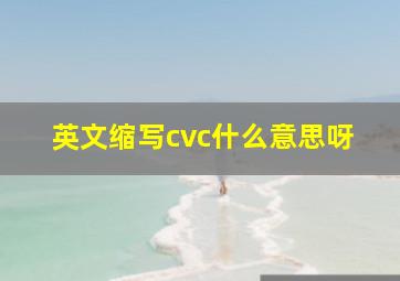 英文缩写cvc什么意思呀