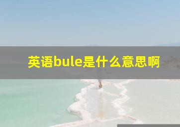 英语bule是什么意思啊