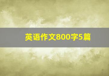 英语作文800字5篇