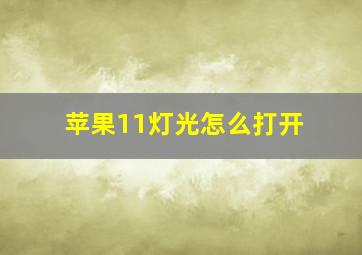 苹果11灯光怎么打开