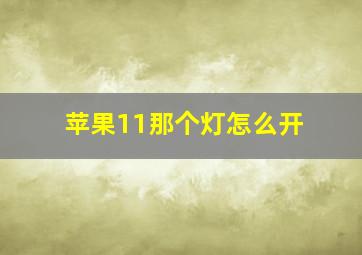 苹果11那个灯怎么开