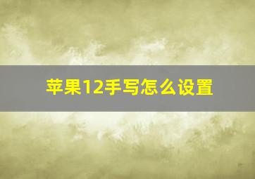 苹果12手写怎么设置