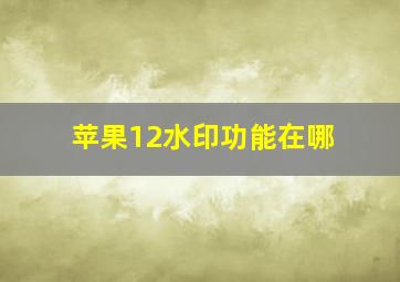 苹果12水印功能在哪