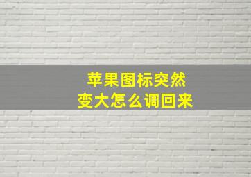 苹果图标突然变大怎么调回来