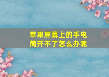 苹果屏幕上的手电筒开不了怎么办呢