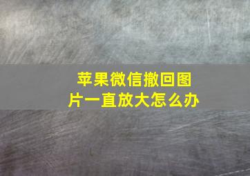 苹果微信撤回图片一直放大怎么办