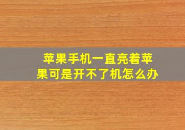 苹果手机一直亮着苹果可是开不了机怎么办