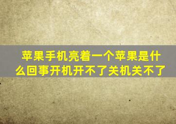 苹果手机亮着一个苹果是什么回事开机开不了关机关不了