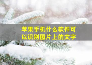 苹果手机什么软件可以识别图片上的文字