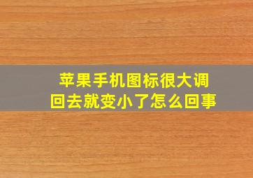 苹果手机图标很大调回去就变小了怎么回事