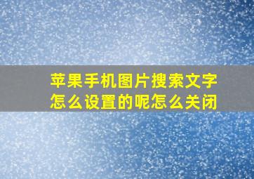 苹果手机图片搜索文字怎么设置的呢怎么关闭