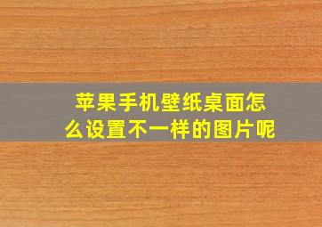 苹果手机壁纸桌面怎么设置不一样的图片呢