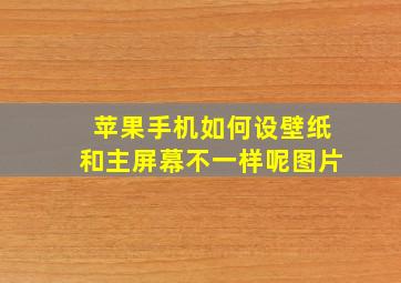 苹果手机如何设壁纸和主屏幕不一样呢图片