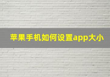 苹果手机如何设置app大小