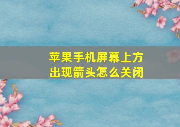 苹果手机屏幕上方出现箭头怎么关闭