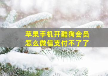 苹果手机开酷狗会员怎么微信支付不了了