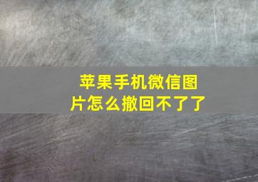 苹果手机微信图片怎么撤回不了了