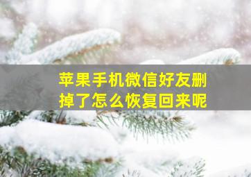 苹果手机微信好友删掉了怎么恢复回来呢