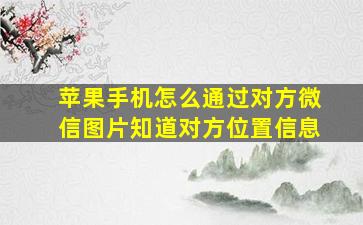 苹果手机怎么通过对方微信图片知道对方位置信息