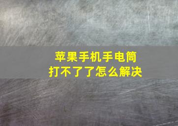 苹果手机手电筒打不了了怎么解决