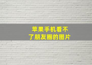 苹果手机看不了朋友圈的图片