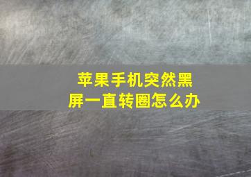 苹果手机突然黑屏一直转圈怎么办