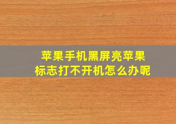 苹果手机黑屏亮苹果标志打不开机怎么办呢